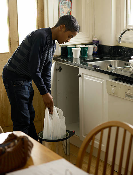 Best Estate Cleanout Services  in Plano, IL